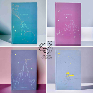 Agenda planeador principito