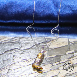 Collar cow girl rodio